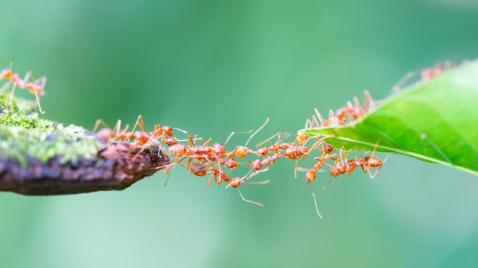 Bez spolupráce by se dál nedostali. Ilustrační foto: Adobe Stock