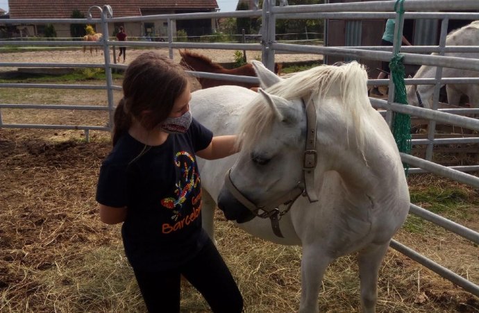 Aktivity s koňmi dětem pomáhají při řešení jejich zdravotních problémů. Ilustrační foto: Česká hiporehabilitační společnost