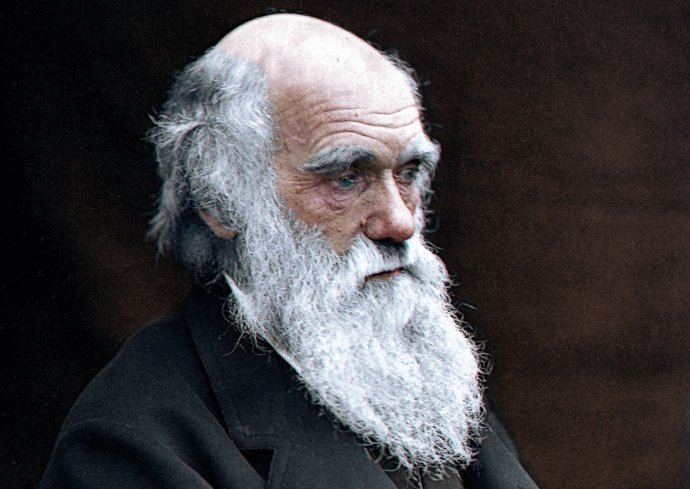 Díky Charlesi Darwinovi se začalo pomyslné pouto mezi lidmi a nelidskými lidoopy opět navazovat. Foto: Julius Jääskeläinen, Flickr, CC BY 2.0
