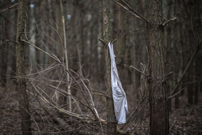 V lesích na polsko-běloruské hranici je řada stop, ze kterých lze vyčíst, kdo a proč tudy utíkal k nám, do EU. Foto: Gabriel Kuchta, Deník N