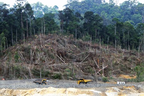 Kácení lesa na Borneu v místech, kde má vzniknout uhelný důl. Foto: IndoMet in the Heart of Borneo, Flickr CC BY 2.0