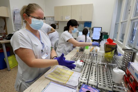 V laboratoři Krajské nemocnice Liberec pracovníci vyhodnocují vzorky běžně od půl sedmé ráno do jedenácti hodin večer. Foto: Ludvík Hradilek, Deník N