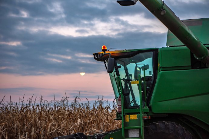 Ukrajina je jedním z největších producentů pšenice na světě. Foto: Adobe Stock