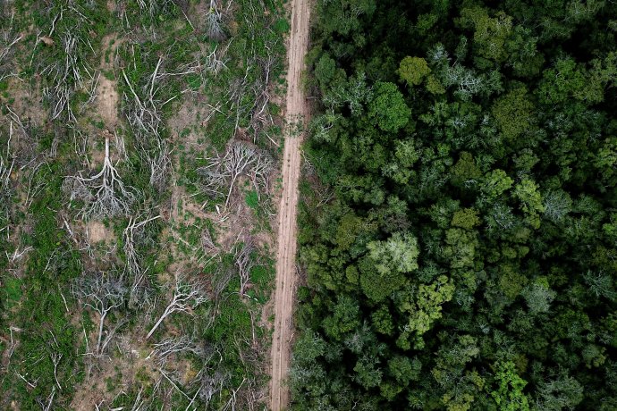 Odlesňování amazonského pralesa. Foto: Rhett Ayers Butler, Adobe Stock