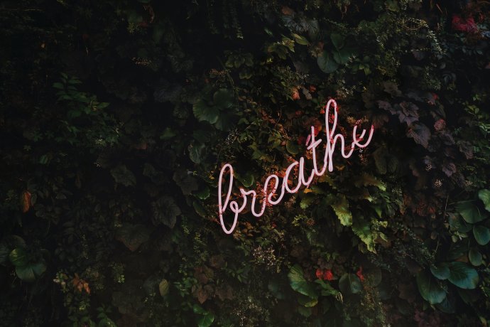 Foto: Unsplash