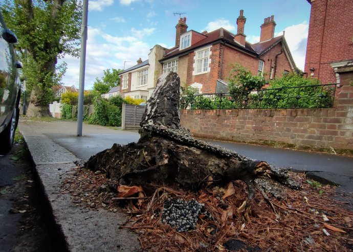 Rozbitý asfalt a pahýl vyvráceného stromu na chodníku před naším vchodem už přežily několik radních. Foto: Dora Martínková, Deník N
