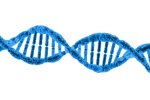 DNA (ilustrační foto, zdroj: Pixabay)