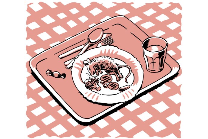 Některé děti si stěžují na menší porce ve školních jídelnách. Ilustrace: Petr Polák