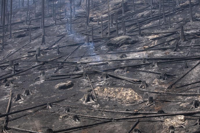 „Jakkoliv jsou snímky hořícího lesa alarmující, musíme dělat opatření napříč celou ekonomikou,“ říká k boji s klimatickou změnou náměstek ministryně životního prostředí Jan Dusík. Foto: Gabriel Kuchta, Deník N
