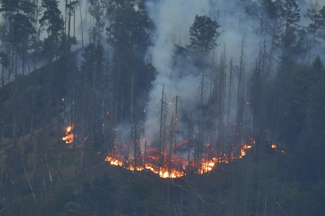 Požár v Národním parku České Švýcarsko u Hřenska, 26. července 2022, Děčínsko. Foto: Ondřej Hájek, ČTK