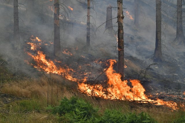 Požár v národním parku České Švýcarsko u Hřenska. Foto: ČTK