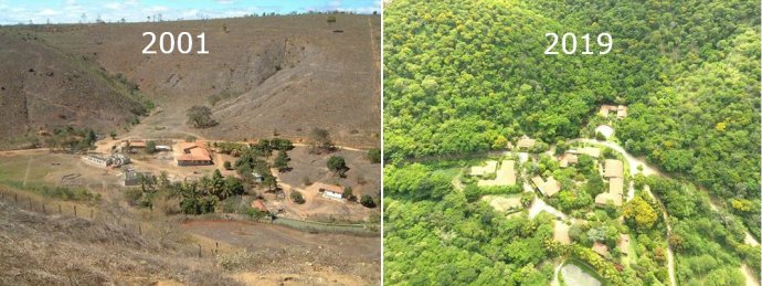 Farma Bulcão v roce 2001 a po zalesnění rostlinami z Atlantického lesa (2019). Foto: Facebook Instituto Terra