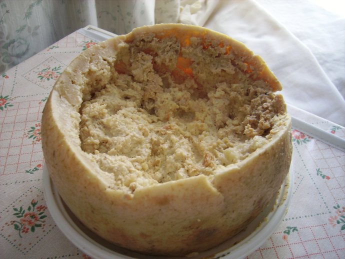 Casu marzu, lahůdkový sýr ze Sardinie, na jehož „výrobě“ se podílejí hmyzí larvy. Foto: Shardan, via Wikimedia Commons, CC BY-SA 2.5
