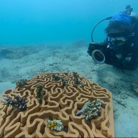 Útesové dlaždice, které mají pomoci s obnovou korálů. Foto: ArchiREEF