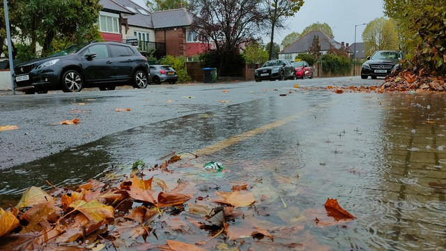 Dešťová voda unáší opadané listy (společně s odpadky poházenými kolem popelnic sousedů) k jediné kanálové vpusti v okolí. Ucpaný kanál vytváří na ulici a na chodníku potopu. Foto: Dora Martínková, Deník N