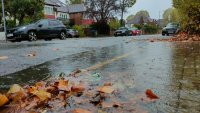 Dešťová voda unáší opadané listy (společně s odpadky poházenými kolem popelnic sousedů) k jediné kanálové vpusti v okolí. Ucpaný kanál vytváří na ulici a na chodníku potopu. Foto: Dora Martínková, Deník N