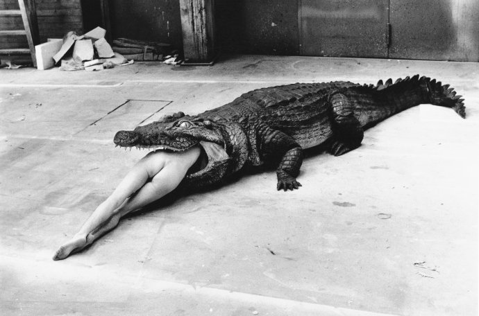 Výstava Helmuta Newtona je aktuálním tahákem vídeňské výstavní sezony. Helmut Newton - Crocodile, Pina Bausch Ballett, Wuppertal, 1983 © Helmut Newton Foundation