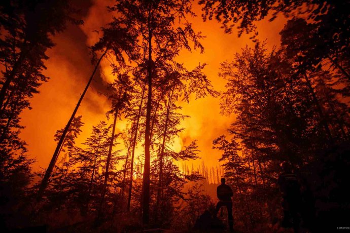 Lesní požár v Českém Švýcarsku. Častější a silnější požáry jsou jedním z mnoha důsledků globálního oteplení. Foto: Michal Fanta, Czech Press Photo