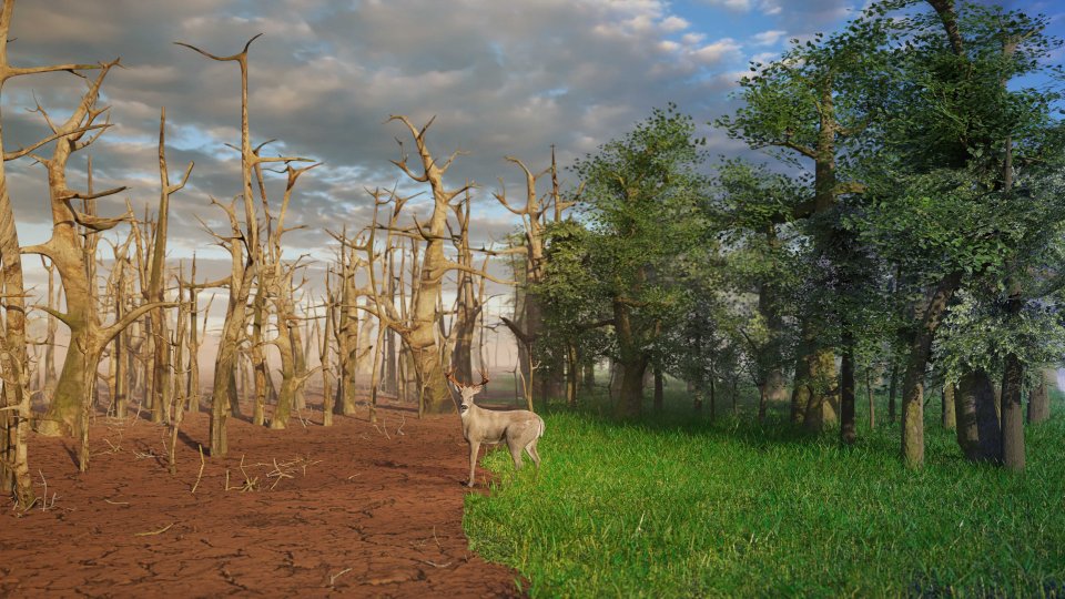 Odhady říkají, že v reakci na změnu klimatu již začalo měnit své místo působení mezi 25 a 85 procenty všech druhů na planetě, podotýká Thor Hanson. Foto: AdobeStock