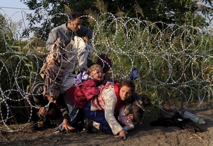Srpen 2015: syrští migranti podlézají žiletkový plot na srbské hranici do Maďarska nedalo vesnice Roszke. Foto: Bernadett Szabo, Reuters