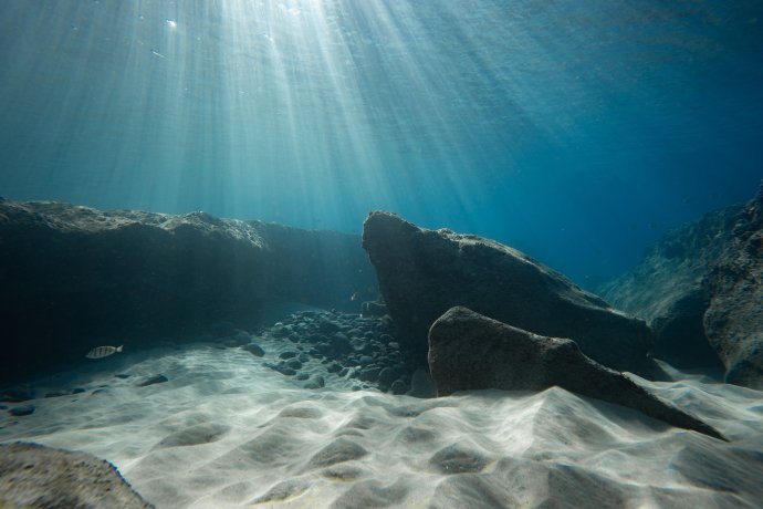 Hluboké mořské dno je prozkoumané méně než povrch Měsíce či Marsu. Foto: Adobe Stock