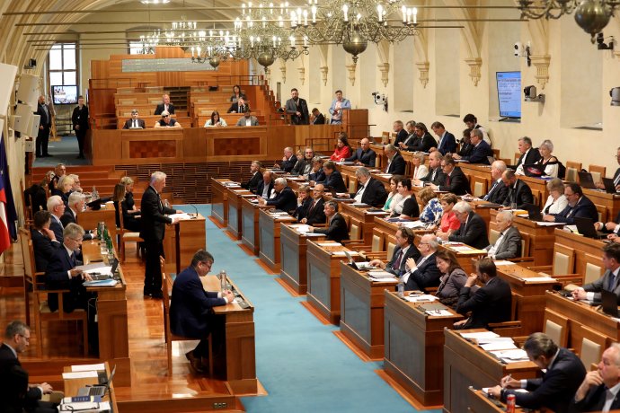 Senát rozhodne o Istanbulské úmluvě. Foto: Ludvík Hradilek, Deník N