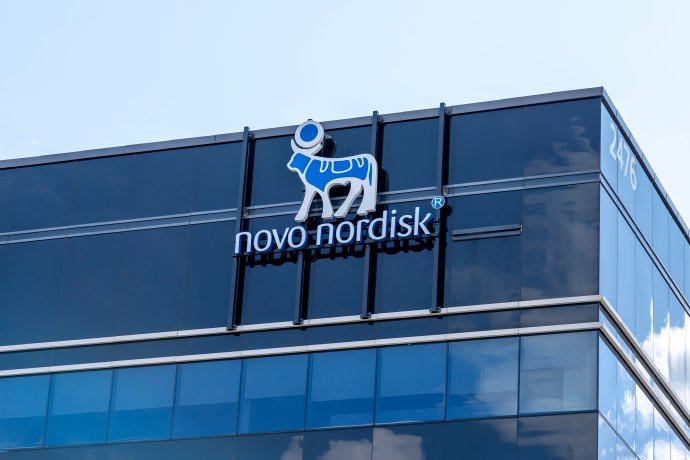 Dánský Novo Nordisk se díky poptávce po jím vyráběných léčebných preparátech stal vůbec nejhodnotnější společností v Evropě, když z druhého místa přeskočil konglomerát luxusních módních značek LVMH. Foto: Adobe Stock