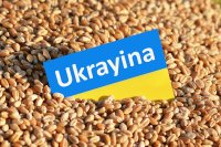 Problém s polským zákazem dovozu obilí z Ukrajiny odhalil jednu zásadní slabinu současné Evropy. Ilustrační foto: ČTK