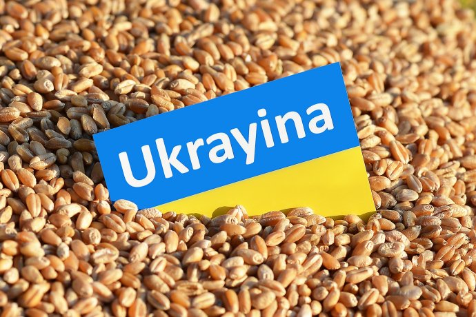 Problém s polským zákazem dovozu obilí z Ukrajiny odhalil jednu zásadní slabinu současné Evropy. Ilustrační foto: ČTK