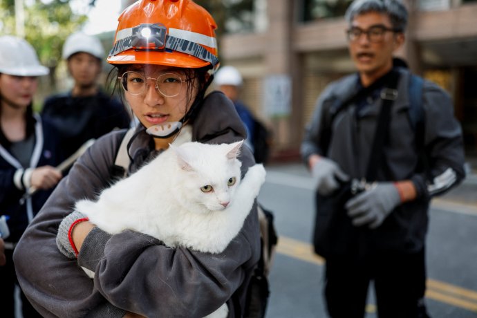Šestnáctiletá Katie Huang našla svoji kočku Tako (obě na snímku), jak se v zemětřesením poničeném domě schovává za postelí. Obě přežily. Paní Kchang to štěstí neměla. Foto: Carlos Garcia Rawlins, Reuters