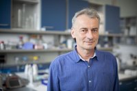 „Potkani jsou dobrodružné povahy, často vycházejí ven, ideálně v šeru nebo po setmění. Třeba na náplavce bývají často,“ říká Pavel Stopka. Foto: Gabriel Kuchta, Deník N