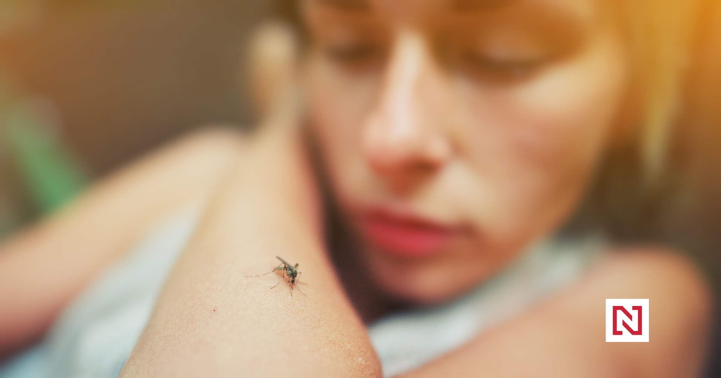 Klimatické změny zavedou komáry i do chladnějších částí Evropy. Ve světě přibývá horečky dengue
