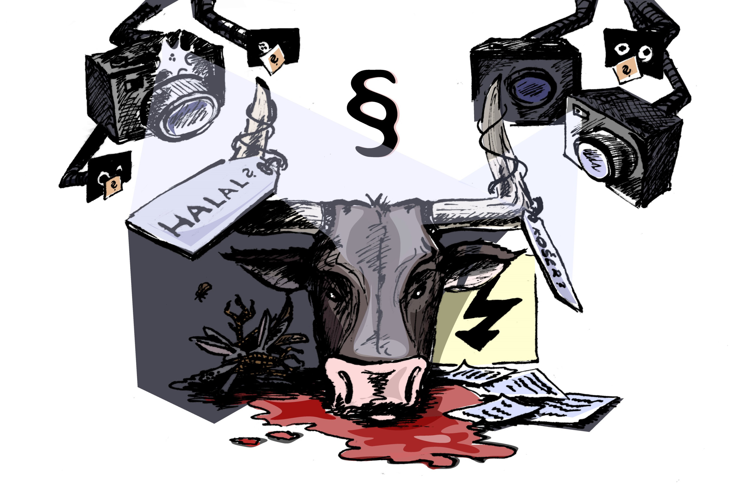 Proč vadí rituální porážky a kamery na jatkách? Kritizovaná novela může v Senátu narazit