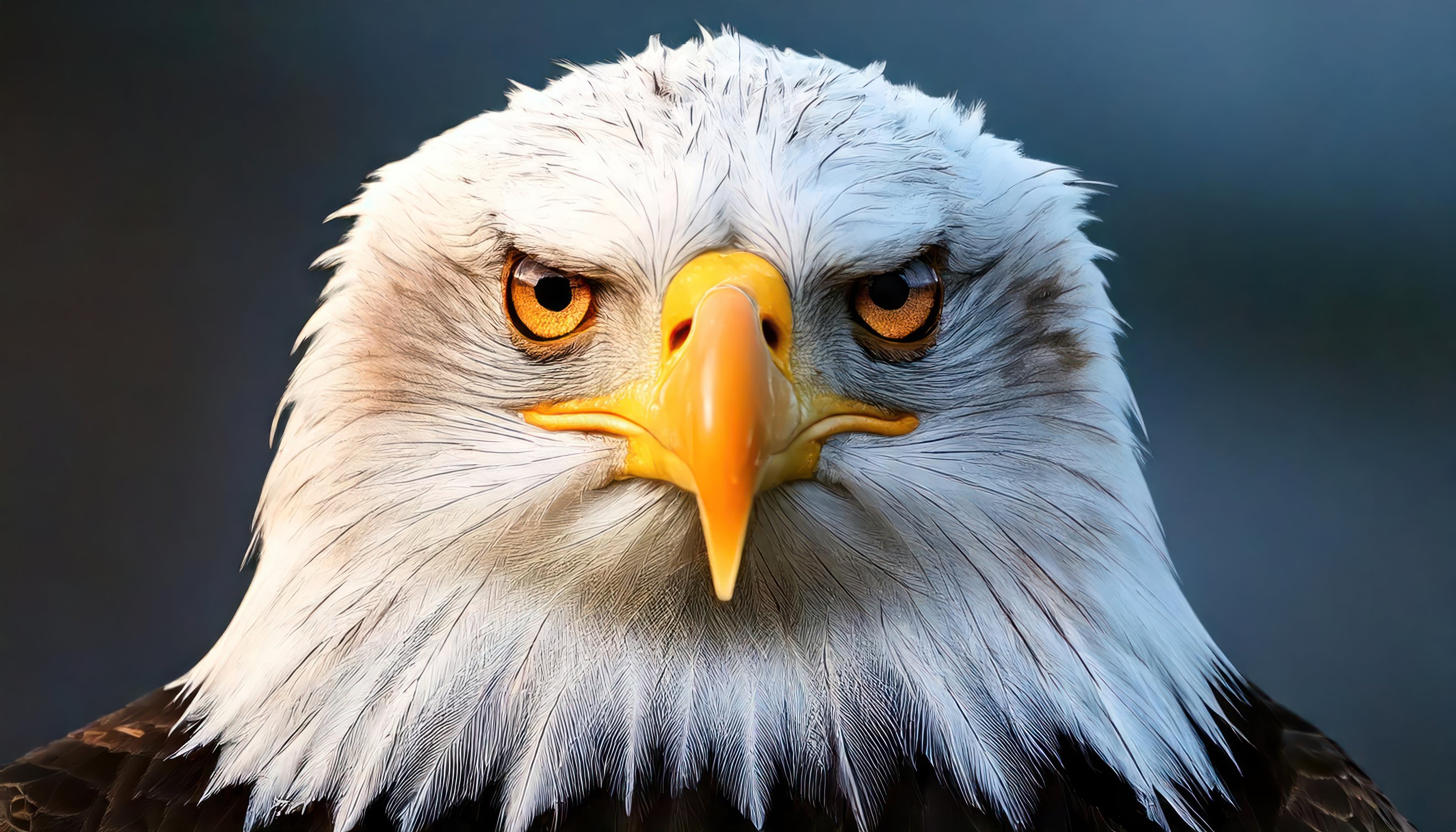 AdobeStock1106326857jpeg.jpg?w=150&h=100&fit=crop&fm=jpg&q=85
