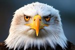 AdobeStock1106326857jpeg.jpg?w=150&h=100&fit=crop&fm=jpg&q=85