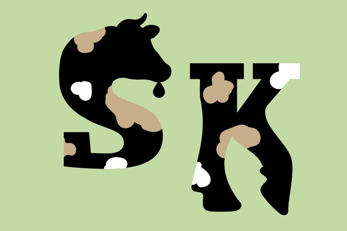 Slintavka a kulhavka je pro nakažená zvířata velmi bolestivá. Ilustrace: Deník N