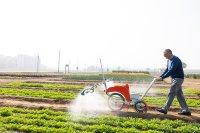 Bill Gates prostřednictvím své nadace investuje i do projektů v zemědělství v rozvojových zemích. Fotografie je z Indie. Foto: Gates Foundation