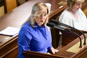 Politici kvůli rozpočtu „grilovali“ ministerské úředníky. Šéf rozpočtové rady zpochybnil matematiku hnutí ANO