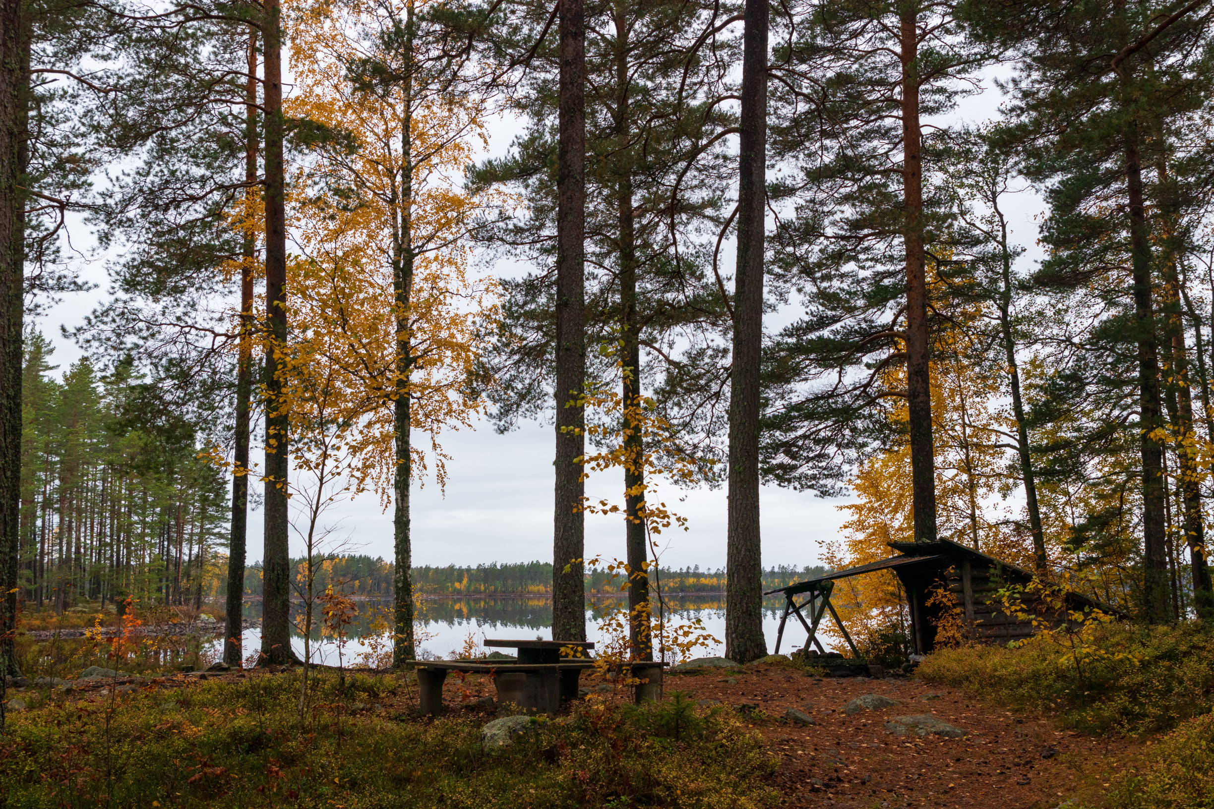Místo kempu raději do přístřešku v severské divočině. Objevte dostupné alternativy, jak procestovat severní Evropu