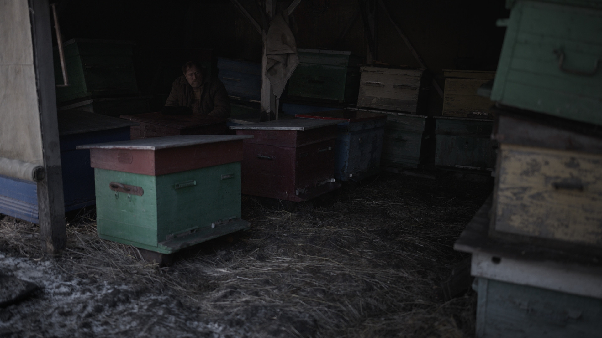 Domov nejsou politické hranice, ale včely a jahodové tapety