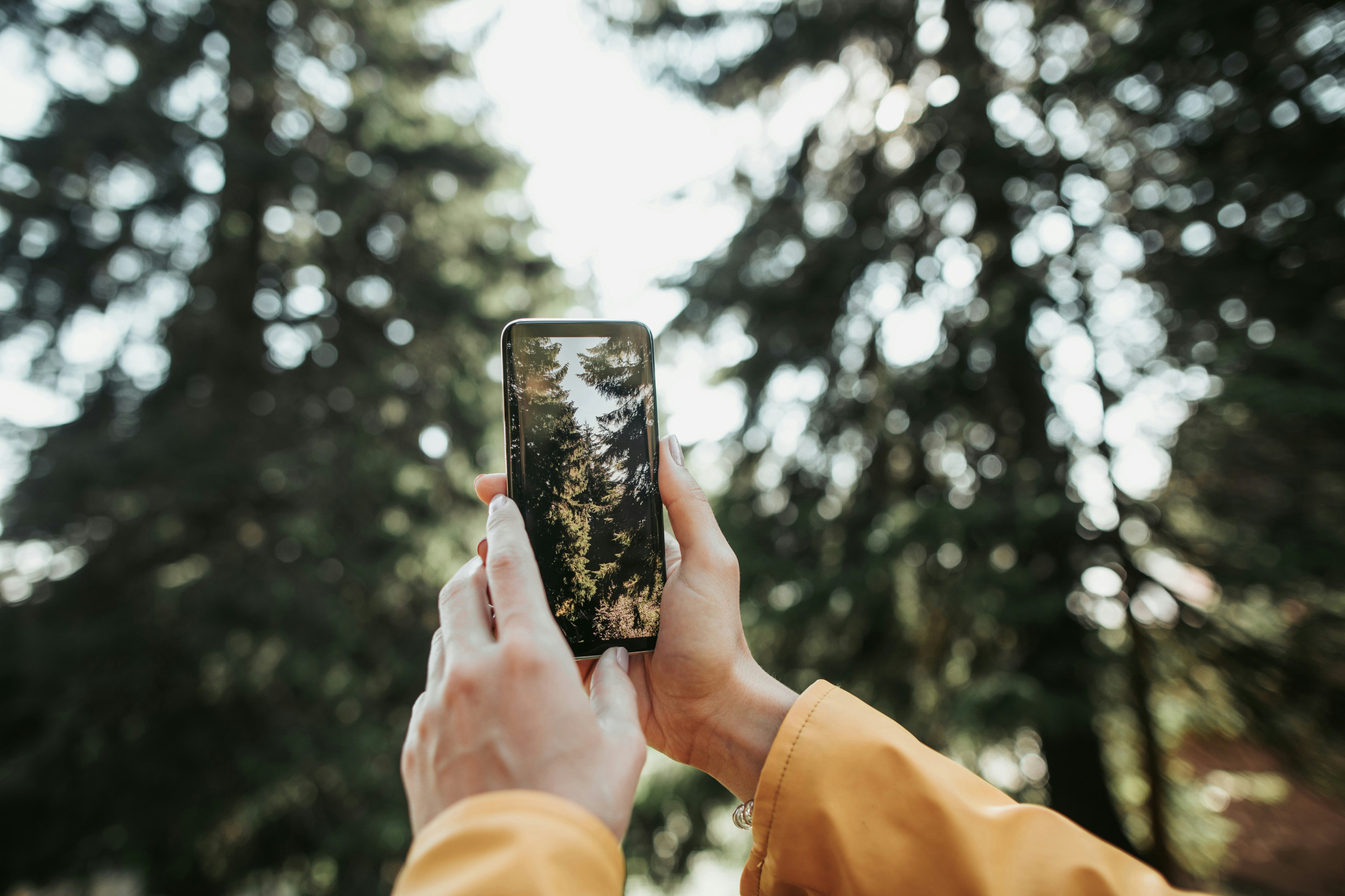 Nová kniha z Edice N klade zásadní otázku: Umíme ještě žít?