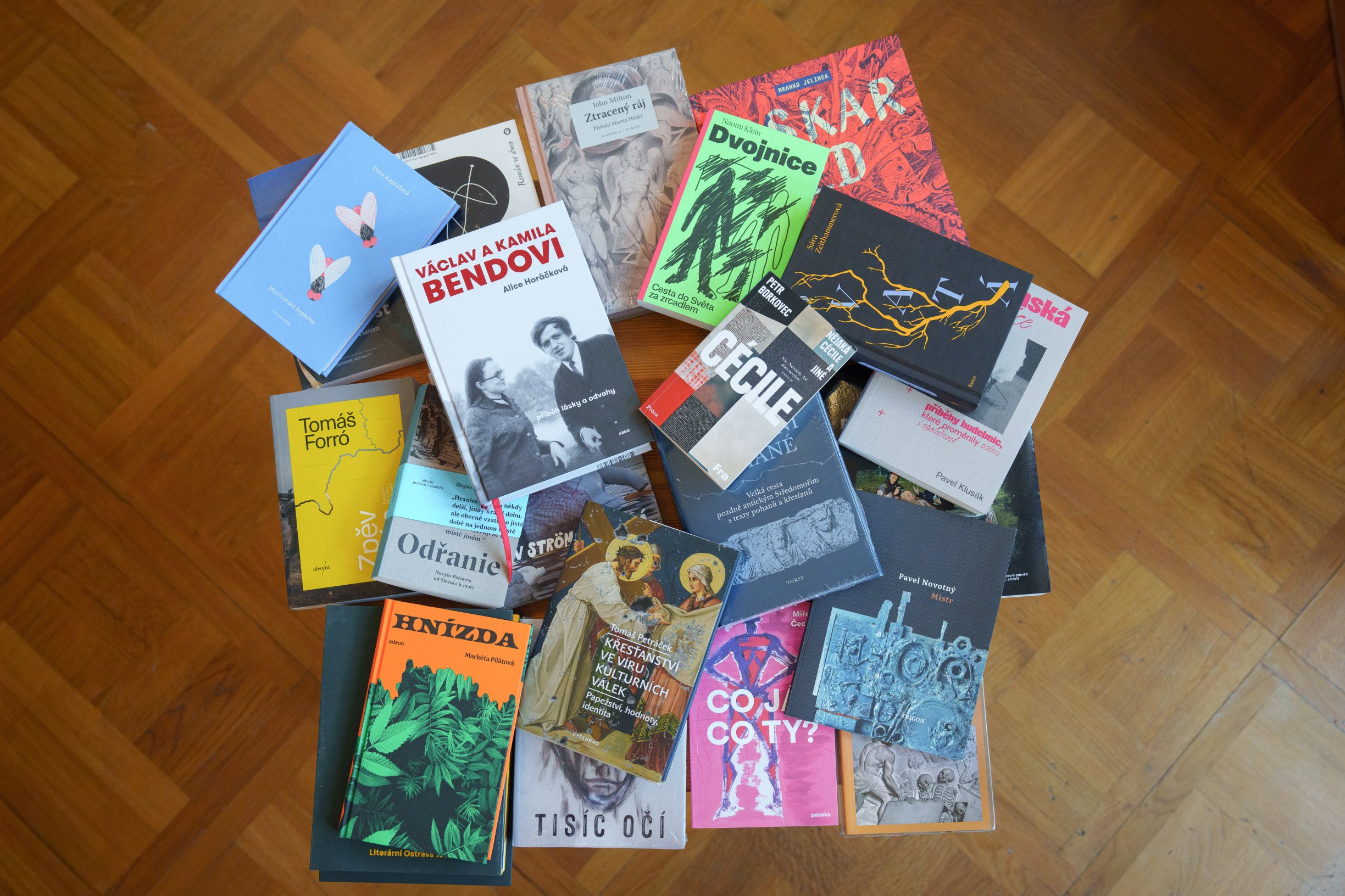 Souhrn všech tipů v anketě Knihy roku Deníku N: Kdo nadchl Topola, Tučkovou, Borkovce nebo Kyšu?