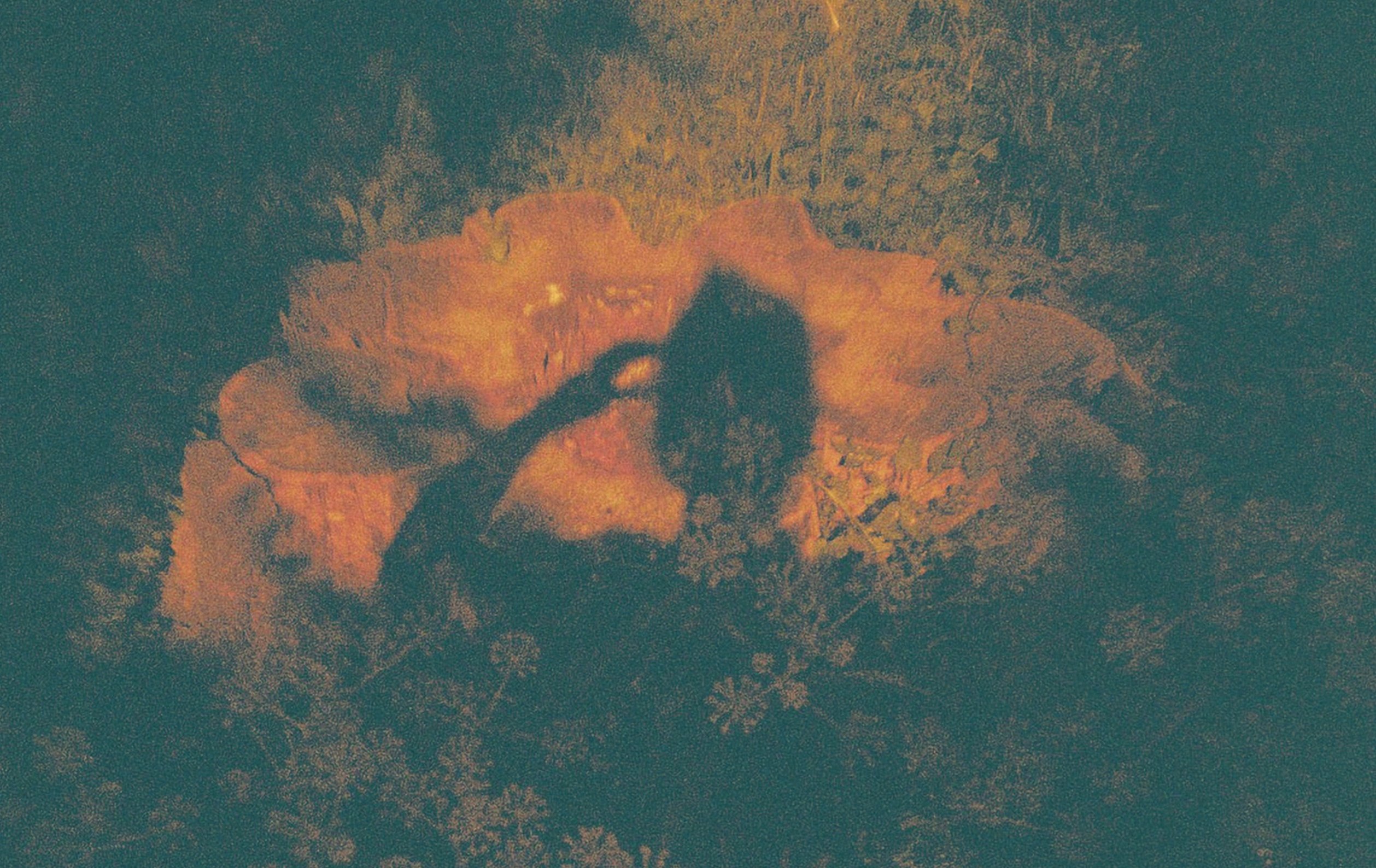 Jak ze mě ayahuasca a nevěra udělaly odolného citlivého jedince