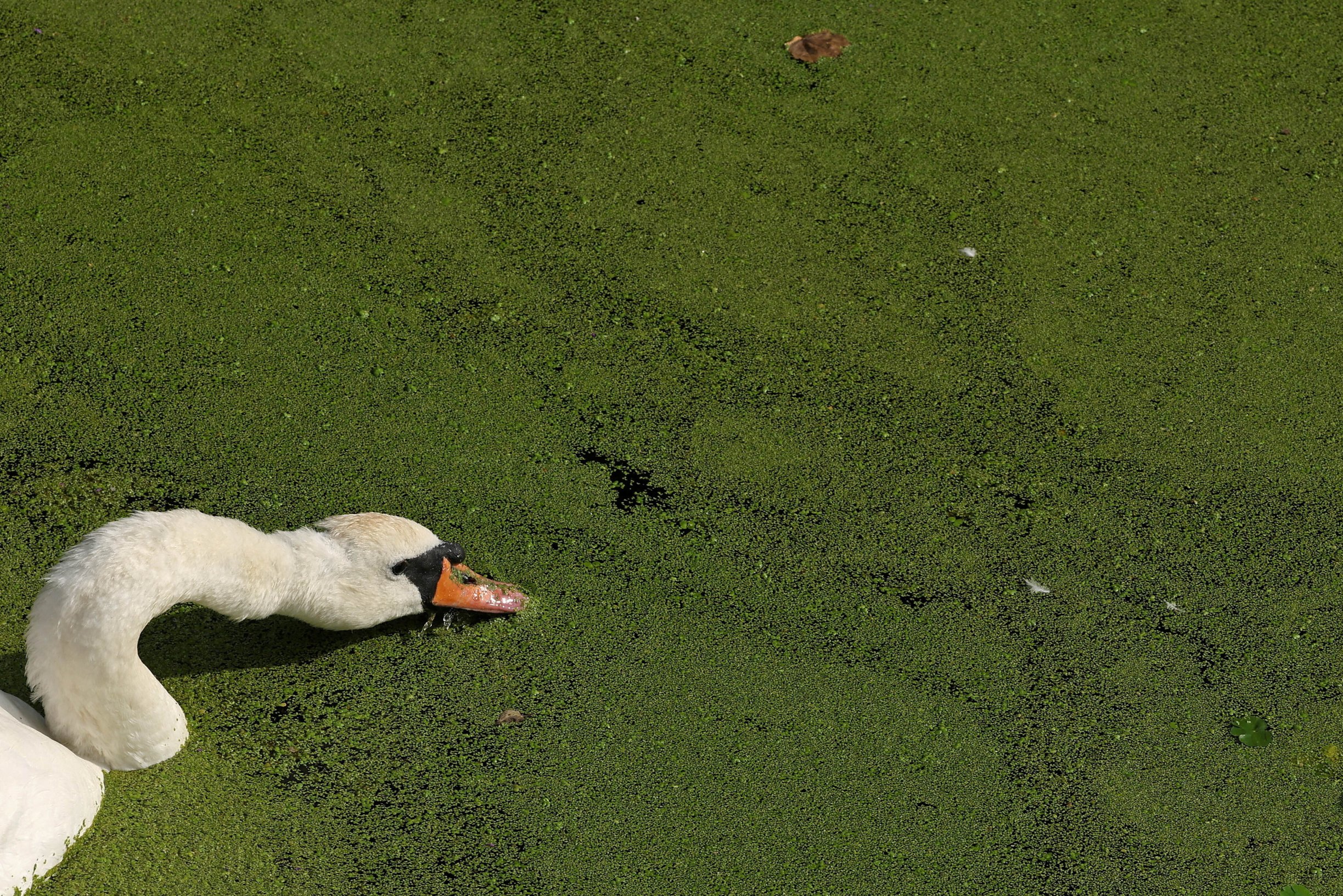 Krize dorazila k nám domů, vysvětluje novinářka. Dřív pokrývala konflikty, dnes píše o klimatu